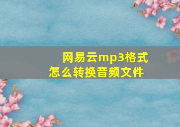 网易云mp3格式怎么转换音频文件