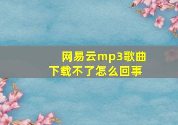 网易云mp3歌曲下载不了怎么回事