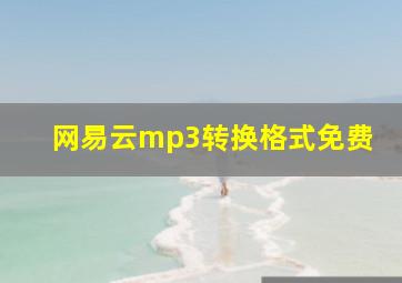 网易云mp3转换格式免费