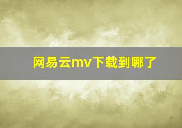 网易云mv下载到哪了