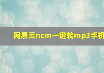 网易云ncm一键转mp3手机