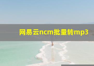 网易云ncm批量转mp3