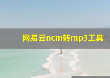 网易云ncm转mp3工具