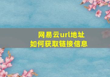 网易云url地址如何获取链接信息