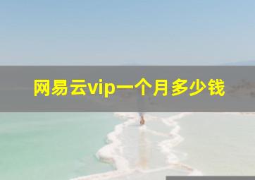 网易云vip一个月多少钱