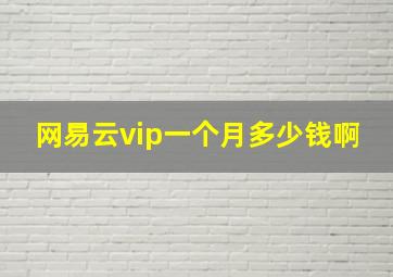 网易云vip一个月多少钱啊