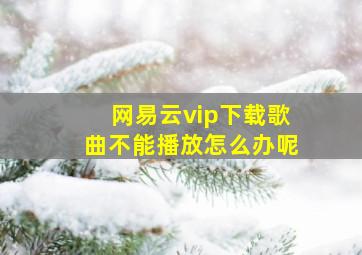 网易云vip下载歌曲不能播放怎么办呢