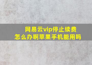 网易云vip停止续费怎么办啊苹果手机能用吗