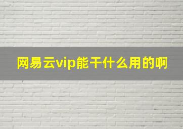 网易云vip能干什么用的啊