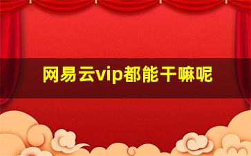 网易云vip都能干嘛呢