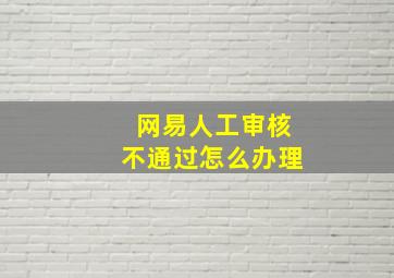 网易人工审核不通过怎么办理