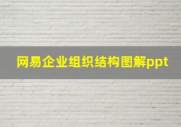 网易企业组织结构图解ppt