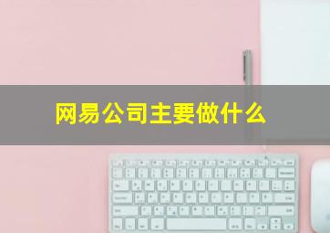 网易公司主要做什么