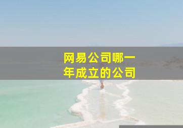 网易公司哪一年成立的公司