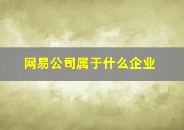 网易公司属于什么企业