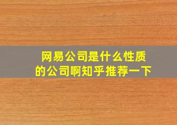 网易公司是什么性质的公司啊知乎推荐一下