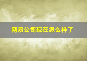 网易公司现在怎么样了