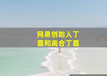 网易创始人丁磊和高合丁磊