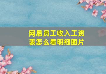 网易员工收入工资表怎么看明细图片