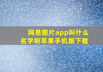 网易图片app叫什么名字啊苹果手机版下载