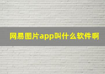 网易图片app叫什么软件啊