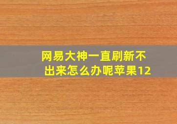 网易大神一直刷新不出来怎么办呢苹果12