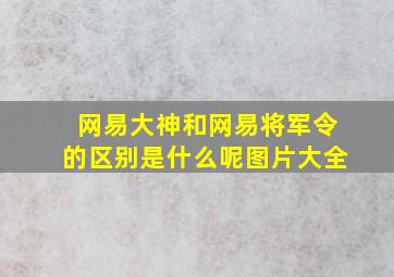 网易大神和网易将军令的区别是什么呢图片大全