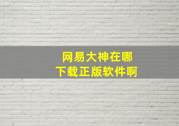 网易大神在哪下载正版软件啊