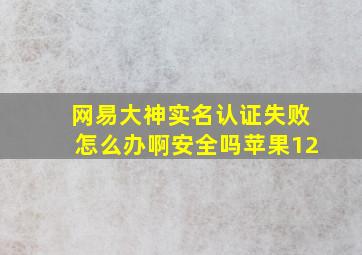 网易大神实名认证失败怎么办啊安全吗苹果12