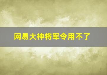 网易大神将军令用不了