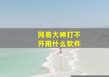 网易大神打不开用什么软件