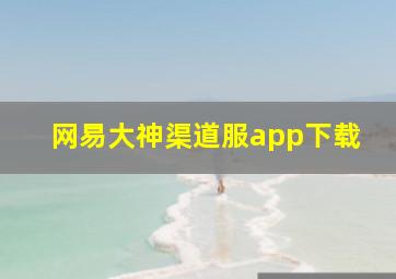 网易大神渠道服app下载