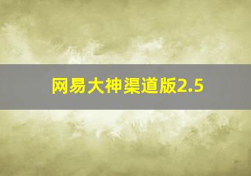 网易大神渠道版2.5