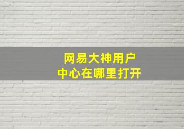 网易大神用户中心在哪里打开