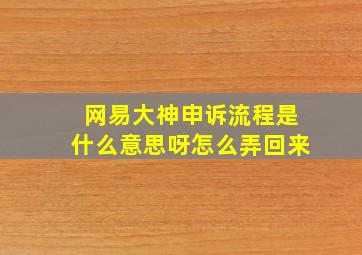 网易大神申诉流程是什么意思呀怎么弄回来