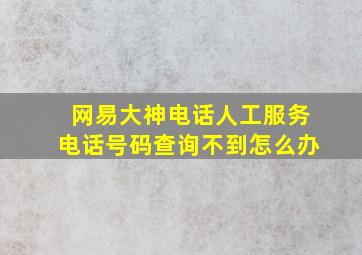 网易大神电话人工服务电话号码查询不到怎么办