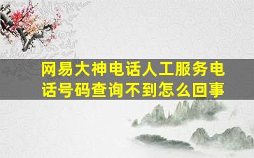 网易大神电话人工服务电话号码查询不到怎么回事