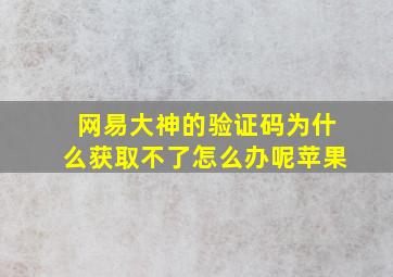 网易大神的验证码为什么获取不了怎么办呢苹果