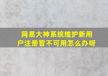 网易大神系统维护新用户注册暂不可用怎么办呀