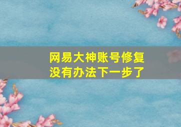 网易大神账号修复没有办法下一步了