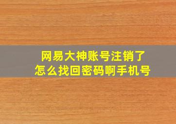 网易大神账号注销了怎么找回密码啊手机号