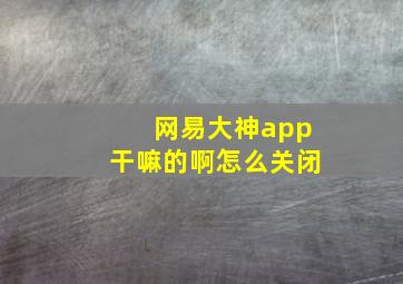 网易大神app干嘛的啊怎么关闭