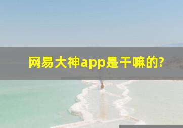 网易大神app是干嘛的?