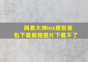 网易大神ios版安装包下载教程图片下载不了