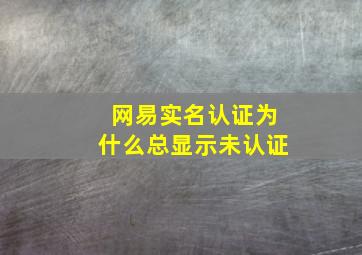 网易实名认证为什么总显示未认证