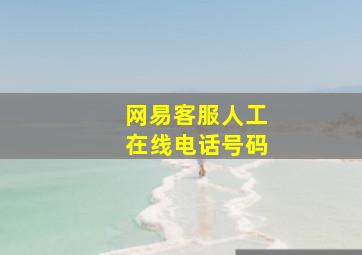 网易客服人工在线电话号码