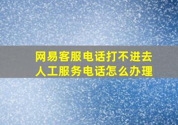 网易客服电话打不进去人工服务电话怎么办理