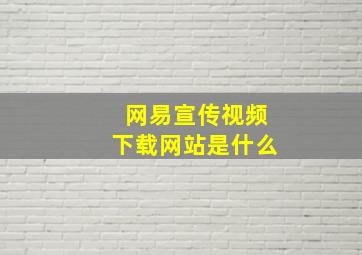 网易宣传视频下载网站是什么