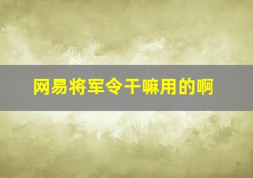 网易将军令干嘛用的啊