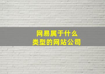 网易属于什么类型的网站公司